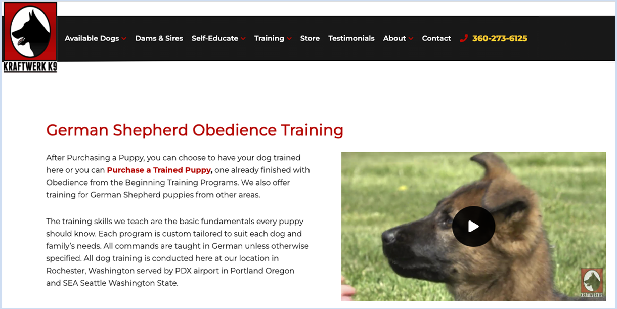 Competitor - Kraftwerk K9